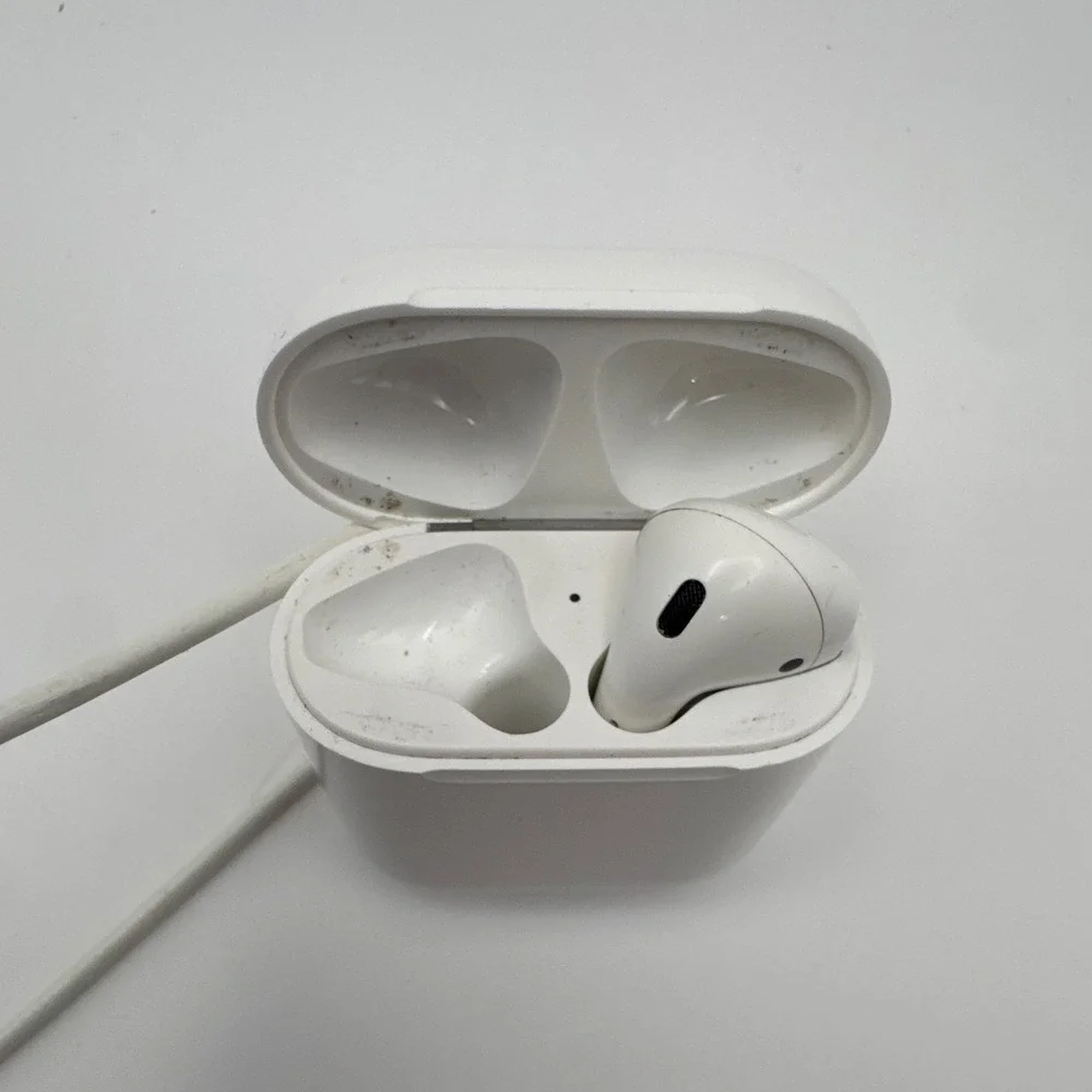 Apple brand style